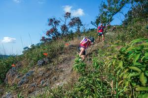 BIB: 
                            <button type="button" onclick="openModal(28098048)" class="btn btn-primary btn-sm float-right btn-popup" data-toggle="modal" data-target=".modal-high-quality">
                        <i class="fas fa-shopping-cart"></i> Add to Cart
                    </button>
                                            <button type="button" onclick="isThisMe(28098048, true)" class="btn btn-success btn-sm float-right btn-popup btn-isme hidden" data-toggle="tooltip" data-placement="bottom" title="นี่คือรูปของคุณใช่ไหม คลิกที่นี่เพื่อเอาเข้าอัลบั้ม">
                        <i class="fas fa-plus"></i> Add to album
                    </button>
                    <button type="button" onclick="isThisMe(28098048, false)" class="btn btn-warning btn-sm float-right btn-popup btn-isnotme hidden">
                        <i class="fas fa-ban"></i> Remove from album
                    </button>