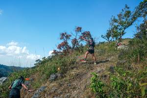 BIB: 
                            <button type="button" onclick="openModal(28096579)" class="btn btn-primary btn-sm float-right btn-popup" data-toggle="modal" data-target=".modal-high-quality">
                        <i class="fas fa-shopping-cart"></i> Add to Cart
                    </button>
                                            <button type="button" onclick="isThisMe(28096579, true)" class="btn btn-success btn-sm float-right btn-popup btn-isme hidden" data-toggle="tooltip" data-placement="bottom" title="นี่คือรูปของคุณใช่ไหม คลิกที่นี่เพื่อเอาเข้าอัลบั้ม">
                        <i class="fas fa-plus"></i> Add to album
                    </button>
                    <button type="button" onclick="isThisMe(28096579, false)" class="btn btn-warning btn-sm float-right btn-popup btn-isnotme hidden">
                        <i class="fas fa-ban"></i> Remove from album
                    </button>