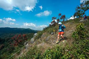 BIB: 
                            <button type="button" onclick="openModal(28095947)" class="btn btn-primary btn-sm float-right btn-popup" data-toggle="modal" data-target=".modal-high-quality">
                        <i class="fas fa-shopping-cart"></i> Add to Cart
                    </button>
                                            <button type="button" onclick="isThisMe(28095947, true)" class="btn btn-success btn-sm float-right btn-popup btn-isme hidden" data-toggle="tooltip" data-placement="bottom" title="นี่คือรูปของคุณใช่ไหม คลิกที่นี่เพื่อเอาเข้าอัลบั้ม">
                        <i class="fas fa-plus"></i> Add to album
                    </button>
                    <button type="button" onclick="isThisMe(28095947, false)" class="btn btn-warning btn-sm float-right btn-popup btn-isnotme hidden">
                        <i class="fas fa-ban"></i> Remove from album
                    </button>