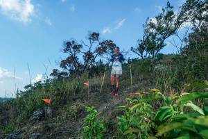 BIB: 
                            <button type="button" onclick="openModal(28097885)" class="btn btn-primary btn-sm float-right btn-popup" data-toggle="modal" data-target=".modal-high-quality">
                        <i class="fas fa-shopping-cart"></i> Add to Cart
                    </button>
                                            <button type="button" onclick="isThisMe(28097885, true)" class="btn btn-success btn-sm float-right btn-popup btn-isme hidden" data-toggle="tooltip" data-placement="bottom" title="นี่คือรูปของคุณใช่ไหม คลิกที่นี่เพื่อเอาเข้าอัลบั้ม">
                        <i class="fas fa-plus"></i> Add to album
                    </button>
                    <button type="button" onclick="isThisMe(28097885, false)" class="btn btn-warning btn-sm float-right btn-popup btn-isnotme hidden">
                        <i class="fas fa-ban"></i> Remove from album
                    </button>