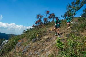 BIB: 
                            <button type="button" onclick="openModal(28096297)" class="btn btn-primary btn-sm float-right btn-popup" data-toggle="modal" data-target=".modal-high-quality">
                        <i class="fas fa-shopping-cart"></i> Add to Cart
                    </button>
                                            <button type="button" onclick="isThisMe(28096297, true)" class="btn btn-success btn-sm float-right btn-popup btn-isme hidden" data-toggle="tooltip" data-placement="bottom" title="นี่คือรูปของคุณใช่ไหม คลิกที่นี่เพื่อเอาเข้าอัลบั้ม">
                        <i class="fas fa-plus"></i> Add to album
                    </button>
                    <button type="button" onclick="isThisMe(28096297, false)" class="btn btn-warning btn-sm float-right btn-popup btn-isnotme hidden">
                        <i class="fas fa-ban"></i> Remove from album
                    </button>