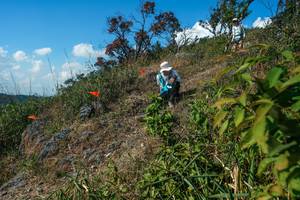 BIB: 
                            <button type="button" onclick="openModal(28097264)" class="btn btn-primary btn-sm float-right btn-popup" data-toggle="modal" data-target=".modal-high-quality">
                        <i class="fas fa-shopping-cart"></i> Add to Cart
                    </button>
                                            <button type="button" onclick="isThisMe(28097264, true)" class="btn btn-success btn-sm float-right btn-popup btn-isme hidden" data-toggle="tooltip" data-placement="bottom" title="นี่คือรูปของคุณใช่ไหม คลิกที่นี่เพื่อเอาเข้าอัลบั้ม">
                        <i class="fas fa-plus"></i> Add to album
                    </button>
                    <button type="button" onclick="isThisMe(28097264, false)" class="btn btn-warning btn-sm float-right btn-popup btn-isnotme hidden">
                        <i class="fas fa-ban"></i> Remove from album
                    </button>