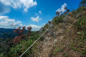 BIB: 
                            <button type="button" onclick="openModal(28096106)" class="btn btn-primary btn-sm float-right btn-popup" data-toggle="modal" data-target=".modal-high-quality">
                        <i class="fas fa-shopping-cart"></i> Add to Cart
                    </button>
                                            <button type="button" onclick="isThisMe(28096106, true)" class="btn btn-success btn-sm float-right btn-popup btn-isme hidden" data-toggle="tooltip" data-placement="bottom" title="นี่คือรูปของคุณใช่ไหม คลิกที่นี่เพื่อเอาเข้าอัลบั้ม">
                        <i class="fas fa-plus"></i> Add to album
                    </button>
                    <button type="button" onclick="isThisMe(28096106, false)" class="btn btn-warning btn-sm float-right btn-popup btn-isnotme hidden">
                        <i class="fas fa-ban"></i> Remove from album
                    </button>