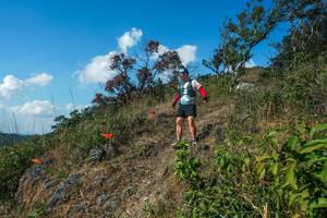 BIB: 
                            <button type="button" onclick="openModal(28097582)" class="btn btn-primary btn-sm float-right btn-popup" data-toggle="modal" data-target=".modal-high-quality">
                        <i class="fas fa-shopping-cart"></i> Add to Cart
                    </button>
                                            <button type="button" onclick="isThisMe(28097582, true)" class="btn btn-success btn-sm float-right btn-popup btn-isme hidden" data-toggle="tooltip" data-placement="bottom" title="นี่คือรูปของคุณใช่ไหม คลิกที่นี่เพื่อเอาเข้าอัลบั้ม">
                        <i class="fas fa-plus"></i> Add to album
                    </button>
                    <button type="button" onclick="isThisMe(28097582, false)" class="btn btn-warning btn-sm float-right btn-popup btn-isnotme hidden">
                        <i class="fas fa-ban"></i> Remove from album
                    </button>