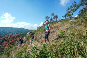 BIB: 
                            <button type="button" onclick="openModal(28096862)" class="btn btn-primary btn-sm float-right btn-popup" data-toggle="modal" data-target=".modal-high-quality">
                        <i class="fas fa-shopping-cart"></i> Add to Cart
                    </button>
                                            <button type="button" onclick="isThisMe(28096862, true)" class="btn btn-success btn-sm float-right btn-popup btn-isme hidden" data-toggle="tooltip" data-placement="bottom" title="นี่คือรูปของคุณใช่ไหม คลิกที่นี่เพื่อเอาเข้าอัลบั้ม">
                        <i class="fas fa-plus"></i> Add to album
                    </button>
                    <button type="button" onclick="isThisMe(28096862, false)" class="btn btn-warning btn-sm float-right btn-popup btn-isnotme hidden">
                        <i class="fas fa-ban"></i> Remove from album
                    </button>