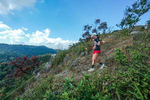 BIB: 
                            <button type="button" onclick="openModal(28096295)" class="btn btn-primary btn-sm float-right btn-popup" data-toggle="modal" data-target=".modal-high-quality">
                        <i class="fas fa-shopping-cart"></i> Add to Cart
                    </button>
                                            <button type="button" onclick="isThisMe(28096295, true)" class="btn btn-success btn-sm float-right btn-popup btn-isme hidden" data-toggle="tooltip" data-placement="bottom" title="นี่คือรูปของคุณใช่ไหม คลิกที่นี่เพื่อเอาเข้าอัลบั้ม">
                        <i class="fas fa-plus"></i> Add to album
                    </button>
                    <button type="button" onclick="isThisMe(28096295, false)" class="btn btn-warning btn-sm float-right btn-popup btn-isnotme hidden">
                        <i class="fas fa-ban"></i> Remove from album
                    </button>