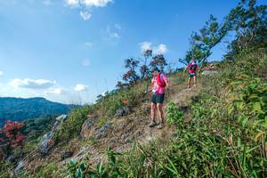 BIB: 
                            <button type="button" onclick="openModal(28098064)" class="btn btn-primary btn-sm float-right btn-popup" data-toggle="modal" data-target=".modal-high-quality">
                        <i class="fas fa-shopping-cart"></i> Add to Cart
                    </button>
                                            <button type="button" onclick="isThisMe(28098064, true)" class="btn btn-success btn-sm float-right btn-popup btn-isme hidden" data-toggle="tooltip" data-placement="bottom" title="นี่คือรูปของคุณใช่ไหม คลิกที่นี่เพื่อเอาเข้าอัลบั้ม">
                        <i class="fas fa-plus"></i> Add to album
                    </button>
                    <button type="button" onclick="isThisMe(28098064, false)" class="btn btn-warning btn-sm float-right btn-popup btn-isnotme hidden">
                        <i class="fas fa-ban"></i> Remove from album
                    </button>