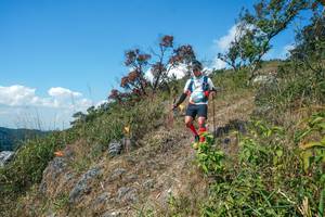 BIB: 
                            <button type="button" onclick="openModal(28096345)" class="btn btn-primary btn-sm float-right btn-popup" data-toggle="modal" data-target=".modal-high-quality">
                        <i class="fas fa-shopping-cart"></i> Add to Cart
                    </button>
                                            <button type="button" onclick="isThisMe(28096345, true)" class="btn btn-success btn-sm float-right btn-popup btn-isme hidden" data-toggle="tooltip" data-placement="bottom" title="นี่คือรูปของคุณใช่ไหม คลิกที่นี่เพื่อเอาเข้าอัลบั้ม">
                        <i class="fas fa-plus"></i> Add to album
                    </button>
                    <button type="button" onclick="isThisMe(28096345, false)" class="btn btn-warning btn-sm float-right btn-popup btn-isnotme hidden">
                        <i class="fas fa-ban"></i> Remove from album
                    </button>