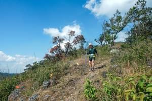 BIB: 
                            <button type="button" onclick="openModal(28096404)" class="btn btn-primary btn-sm float-right btn-popup" data-toggle="modal" data-target=".modal-high-quality">
                        <i class="fas fa-shopping-cart"></i> Add to Cart
                    </button>
                                            <button type="button" onclick="isThisMe(28096404, true)" class="btn btn-success btn-sm float-right btn-popup btn-isme hidden" data-toggle="tooltip" data-placement="bottom" title="นี่คือรูปของคุณใช่ไหม คลิกที่นี่เพื่อเอาเข้าอัลบั้ม">
                        <i class="fas fa-plus"></i> Add to album
                    </button>
                    <button type="button" onclick="isThisMe(28096404, false)" class="btn btn-warning btn-sm float-right btn-popup btn-isnotme hidden">
                        <i class="fas fa-ban"></i> Remove from album
                    </button>