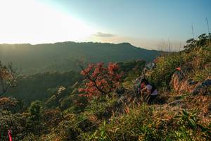 BIB: 
                            <button type="button" onclick="openModal(28099695)" class="btn btn-primary btn-sm float-right btn-popup" data-toggle="modal" data-target=".modal-high-quality">
                        <i class="fas fa-shopping-cart"></i> Add to Cart
                    </button>
                                            <button type="button" onclick="isThisMe(28099695, true)" class="btn btn-success btn-sm float-right btn-popup btn-isme hidden" data-toggle="tooltip" data-placement="bottom" title="นี่คือรูปของคุณใช่ไหม คลิกที่นี่เพื่อเอาเข้าอัลบั้ม">
                        <i class="fas fa-plus"></i> Add to album
                    </button>
                    <button type="button" onclick="isThisMe(28099695, false)" class="btn btn-warning btn-sm float-right btn-popup btn-isnotme hidden">
                        <i class="fas fa-ban"></i> Remove from album
                    </button>