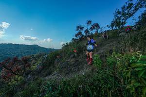 BIB: 
                            <button type="button" onclick="openModal(28098310)" class="btn btn-primary btn-sm float-right btn-popup" data-toggle="modal" data-target=".modal-high-quality">
                        <i class="fas fa-shopping-cart"></i> Add to Cart
                    </button>
                                            <button type="button" onclick="isThisMe(28098310, true)" class="btn btn-success btn-sm float-right btn-popup btn-isme hidden" data-toggle="tooltip" data-placement="bottom" title="นี่คือรูปของคุณใช่ไหม คลิกที่นี่เพื่อเอาเข้าอัลบั้ม">
                        <i class="fas fa-plus"></i> Add to album
                    </button>
                    <button type="button" onclick="isThisMe(28098310, false)" class="btn btn-warning btn-sm float-right btn-popup btn-isnotme hidden">
                        <i class="fas fa-ban"></i> Remove from album
                    </button>