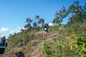 BIB: 
                            <button type="button" onclick="openModal(28096970)" class="btn btn-primary btn-sm float-right btn-popup" data-toggle="modal" data-target=".modal-high-quality">
                        <i class="fas fa-shopping-cart"></i> Add to Cart
                    </button>
                                            <button type="button" onclick="isThisMe(28096970, true)" class="btn btn-success btn-sm float-right btn-popup btn-isme hidden" data-toggle="tooltip" data-placement="bottom" title="นี่คือรูปของคุณใช่ไหม คลิกที่นี่เพื่อเอาเข้าอัลบั้ม">
                        <i class="fas fa-plus"></i> Add to album
                    </button>
                    <button type="button" onclick="isThisMe(28096970, false)" class="btn btn-warning btn-sm float-right btn-popup btn-isnotme hidden">
                        <i class="fas fa-ban"></i> Remove from album
                    </button>