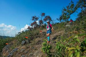 BIB: 
                            <button type="button" onclick="openModal(28097148)" class="btn btn-primary btn-sm float-right btn-popup" data-toggle="modal" data-target=".modal-high-quality">
                        <i class="fas fa-shopping-cart"></i> Add to Cart
                    </button>
                                            <button type="button" onclick="isThisMe(28097148, true)" class="btn btn-success btn-sm float-right btn-popup btn-isme hidden" data-toggle="tooltip" data-placement="bottom" title="นี่คือรูปของคุณใช่ไหม คลิกที่นี่เพื่อเอาเข้าอัลบั้ม">
                        <i class="fas fa-plus"></i> Add to album
                    </button>
                    <button type="button" onclick="isThisMe(28097148, false)" class="btn btn-warning btn-sm float-right btn-popup btn-isnotme hidden">
                        <i class="fas fa-ban"></i> Remove from album
                    </button>