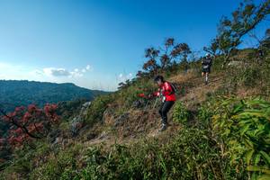 BIB: 
                            <button type="button" onclick="openModal(28098762)" class="btn btn-primary btn-sm float-right btn-popup" data-toggle="modal" data-target=".modal-high-quality">
                        <i class="fas fa-shopping-cart"></i> Add to Cart
                    </button>
                                            <button type="button" onclick="isThisMe(28098762, true)" class="btn btn-success btn-sm float-right btn-popup btn-isme hidden" data-toggle="tooltip" data-placement="bottom" title="นี่คือรูปของคุณใช่ไหม คลิกที่นี่เพื่อเอาเข้าอัลบั้ม">
                        <i class="fas fa-plus"></i> Add to album
                    </button>
                    <button type="button" onclick="isThisMe(28098762, false)" class="btn btn-warning btn-sm float-right btn-popup btn-isnotme hidden">
                        <i class="fas fa-ban"></i> Remove from album
                    </button>