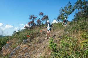 BIB: 
                            <button type="button" onclick="openModal(28096954)" class="btn btn-primary btn-sm float-right btn-popup" data-toggle="modal" data-target=".modal-high-quality">
                        <i class="fas fa-shopping-cart"></i> Add to Cart
                    </button>
                                            <button type="button" onclick="isThisMe(28096954, true)" class="btn btn-success btn-sm float-right btn-popup btn-isme hidden" data-toggle="tooltip" data-placement="bottom" title="นี่คือรูปของคุณใช่ไหม คลิกที่นี่เพื่อเอาเข้าอัลบั้ม">
                        <i class="fas fa-plus"></i> Add to album
                    </button>
                    <button type="button" onclick="isThisMe(28096954, false)" class="btn btn-warning btn-sm float-right btn-popup btn-isnotme hidden">
                        <i class="fas fa-ban"></i> Remove from album
                    </button>