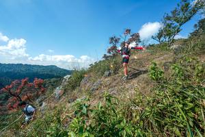 BIB: 
                            <button type="button" onclick="openModal(28096370)" class="btn btn-primary btn-sm float-right btn-popup" data-toggle="modal" data-target=".modal-high-quality">
                        <i class="fas fa-shopping-cart"></i> Add to Cart
                    </button>
                                            <button type="button" onclick="isThisMe(28096370, true)" class="btn btn-success btn-sm float-right btn-popup btn-isme hidden" data-toggle="tooltip" data-placement="bottom" title="นี่คือรูปของคุณใช่ไหม คลิกที่นี่เพื่อเอาเข้าอัลบั้ม">
                        <i class="fas fa-plus"></i> Add to album
                    </button>
                    <button type="button" onclick="isThisMe(28096370, false)" class="btn btn-warning btn-sm float-right btn-popup btn-isnotme hidden">
                        <i class="fas fa-ban"></i> Remove from album
                    </button>