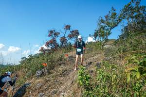 BIB: 
                            <button type="button" onclick="openModal(28096983)" class="btn btn-primary btn-sm float-right btn-popup" data-toggle="modal" data-target=".modal-high-quality">
                        <i class="fas fa-shopping-cart"></i> Add to Cart
                    </button>
                                            <button type="button" onclick="isThisMe(28096983, true)" class="btn btn-success btn-sm float-right btn-popup btn-isme hidden" data-toggle="tooltip" data-placement="bottom" title="นี่คือรูปของคุณใช่ไหม คลิกที่นี่เพื่อเอาเข้าอัลบั้ม">
                        <i class="fas fa-plus"></i> Add to album
                    </button>
                    <button type="button" onclick="isThisMe(28096983, false)" class="btn btn-warning btn-sm float-right btn-popup btn-isnotme hidden">
                        <i class="fas fa-ban"></i> Remove from album
                    </button>