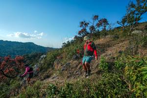 BIB: 
                            <button type="button" onclick="openModal(28098705)" class="btn btn-primary btn-sm float-right btn-popup" data-toggle="modal" data-target=".modal-high-quality">
                        <i class="fas fa-shopping-cart"></i> Add to Cart
                    </button>
                                            <button type="button" onclick="isThisMe(28098705, true)" class="btn btn-success btn-sm float-right btn-popup btn-isme hidden" data-toggle="tooltip" data-placement="bottom" title="นี่คือรูปของคุณใช่ไหม คลิกที่นี่เพื่อเอาเข้าอัลบั้ม">
                        <i class="fas fa-plus"></i> Add to album
                    </button>
                    <button type="button" onclick="isThisMe(28098705, false)" class="btn btn-warning btn-sm float-right btn-popup btn-isnotme hidden">
                        <i class="fas fa-ban"></i> Remove from album
                    </button>