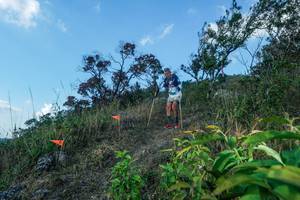 BIB: 
                            <button type="button" onclick="openModal(28097878)" class="btn btn-primary btn-sm float-right btn-popup" data-toggle="modal" data-target=".modal-high-quality">
                        <i class="fas fa-shopping-cart"></i> Add to Cart
                    </button>
                                            <button type="button" onclick="isThisMe(28097878, true)" class="btn btn-success btn-sm float-right btn-popup btn-isme hidden" data-toggle="tooltip" data-placement="bottom" title="นี่คือรูปของคุณใช่ไหม คลิกที่นี่เพื่อเอาเข้าอัลบั้ม">
                        <i class="fas fa-plus"></i> Add to album
                    </button>
                    <button type="button" onclick="isThisMe(28097878, false)" class="btn btn-warning btn-sm float-right btn-popup btn-isnotme hidden">
                        <i class="fas fa-ban"></i> Remove from album
                    </button>