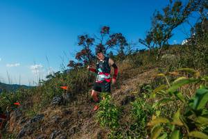 BIB: 
                            <button type="button" onclick="openModal(28099001)" class="btn btn-primary btn-sm float-right btn-popup" data-toggle="modal" data-target=".modal-high-quality">
                        <i class="fas fa-shopping-cart"></i> Add to Cart
                    </button>
                                            <button type="button" onclick="isThisMe(28099001, true)" class="btn btn-success btn-sm float-right btn-popup btn-isme hidden" data-toggle="tooltip" data-placement="bottom" title="นี่คือรูปของคุณใช่ไหม คลิกที่นี่เพื่อเอาเข้าอัลบั้ม">
                        <i class="fas fa-plus"></i> Add to album
                    </button>
                    <button type="button" onclick="isThisMe(28099001, false)" class="btn btn-warning btn-sm float-right btn-popup btn-isnotme hidden">
                        <i class="fas fa-ban"></i> Remove from album
                    </button>