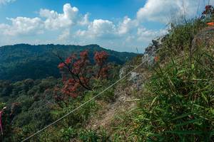 BIB: 
                            <button type="button" onclick="openModal(28096235)" class="btn btn-primary btn-sm float-right btn-popup" data-toggle="modal" data-target=".modal-high-quality">
                        <i class="fas fa-shopping-cart"></i> Add to Cart
                    </button>
                                            <button type="button" onclick="isThisMe(28096235, true)" class="btn btn-success btn-sm float-right btn-popup btn-isme hidden" data-toggle="tooltip" data-placement="bottom" title="นี่คือรูปของคุณใช่ไหม คลิกที่นี่เพื่อเอาเข้าอัลบั้ม">
                        <i class="fas fa-plus"></i> Add to album
                    </button>
                    <button type="button" onclick="isThisMe(28096235, false)" class="btn btn-warning btn-sm float-right btn-popup btn-isnotme hidden">
                        <i class="fas fa-ban"></i> Remove from album
                    </button>