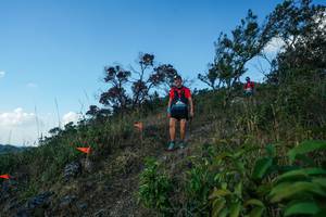 BIB: 
                            <button type="button" onclick="openModal(28097755)" class="btn btn-primary btn-sm float-right btn-popup" data-toggle="modal" data-target=".modal-high-quality">
                        <i class="fas fa-shopping-cart"></i> Add to Cart
                    </button>
                                            <button type="button" onclick="isThisMe(28097755, true)" class="btn btn-success btn-sm float-right btn-popup btn-isme hidden" data-toggle="tooltip" data-placement="bottom" title="นี่คือรูปของคุณใช่ไหม คลิกที่นี่เพื่อเอาเข้าอัลบั้ม">
                        <i class="fas fa-plus"></i> Add to album
                    </button>
                    <button type="button" onclick="isThisMe(28097755, false)" class="btn btn-warning btn-sm float-right btn-popup btn-isnotme hidden">
                        <i class="fas fa-ban"></i> Remove from album
                    </button>