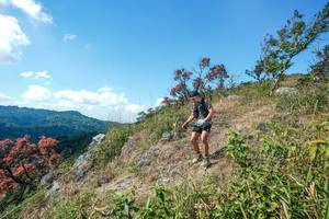 BIB: 
                            <button type="button" onclick="openModal(28096595)" class="btn btn-primary btn-sm float-right btn-popup" data-toggle="modal" data-target=".modal-high-quality">
                        <i class="fas fa-shopping-cart"></i> Add to Cart
                    </button>
                                            <button type="button" onclick="isThisMe(28096595, true)" class="btn btn-success btn-sm float-right btn-popup btn-isme hidden" data-toggle="tooltip" data-placement="bottom" title="นี่คือรูปของคุณใช่ไหม คลิกที่นี่เพื่อเอาเข้าอัลบั้ม">
                        <i class="fas fa-plus"></i> Add to album
                    </button>
                    <button type="button" onclick="isThisMe(28096595, false)" class="btn btn-warning btn-sm float-right btn-popup btn-isnotme hidden">
                        <i class="fas fa-ban"></i> Remove from album
                    </button>