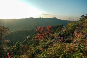 BIB: 
                            <button type="button" onclick="openModal(28099690)" class="btn btn-primary btn-sm float-right btn-popup" data-toggle="modal" data-target=".modal-high-quality">
                        <i class="fas fa-shopping-cart"></i> Add to Cart
                    </button>
                                            <button type="button" onclick="isThisMe(28099690, true)" class="btn btn-success btn-sm float-right btn-popup btn-isme hidden" data-toggle="tooltip" data-placement="bottom" title="นี่คือรูปของคุณใช่ไหม คลิกที่นี่เพื่อเอาเข้าอัลบั้ม">
                        <i class="fas fa-plus"></i> Add to album
                    </button>
                    <button type="button" onclick="isThisMe(28099690, false)" class="btn btn-warning btn-sm float-right btn-popup btn-isnotme hidden">
                        <i class="fas fa-ban"></i> Remove from album
                    </button>