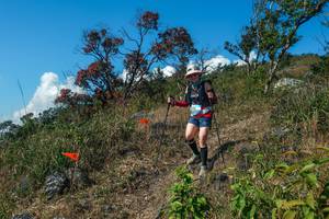 BIB: 
                            <button type="button" onclick="openModal(28097071)" class="btn btn-primary btn-sm float-right btn-popup" data-toggle="modal" data-target=".modal-high-quality">
                        <i class="fas fa-shopping-cart"></i> Add to Cart
                    </button>
                                            <button type="button" onclick="isThisMe(28097071, true)" class="btn btn-success btn-sm float-right btn-popup btn-isme hidden" data-toggle="tooltip" data-placement="bottom" title="นี่คือรูปของคุณใช่ไหม คลิกที่นี่เพื่อเอาเข้าอัลบั้ม">
                        <i class="fas fa-plus"></i> Add to album
                    </button>
                    <button type="button" onclick="isThisMe(28097071, false)" class="btn btn-warning btn-sm float-right btn-popup btn-isnotme hidden">
                        <i class="fas fa-ban"></i> Remove from album
                    </button>