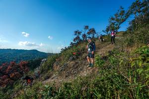 BIB: 
                            <button type="button" onclick="openModal(28098429)" class="btn btn-primary btn-sm float-right btn-popup" data-toggle="modal" data-target=".modal-high-quality">
                        <i class="fas fa-shopping-cart"></i> Add to Cart
                    </button>
                                            <button type="button" onclick="isThisMe(28098429, true)" class="btn btn-success btn-sm float-right btn-popup btn-isme hidden" data-toggle="tooltip" data-placement="bottom" title="นี่คือรูปของคุณใช่ไหม คลิกที่นี่เพื่อเอาเข้าอัลบั้ม">
                        <i class="fas fa-plus"></i> Add to album
                    </button>
                    <button type="button" onclick="isThisMe(28098429, false)" class="btn btn-warning btn-sm float-right btn-popup btn-isnotme hidden">
                        <i class="fas fa-ban"></i> Remove from album
                    </button>