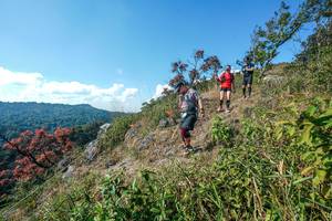 BIB: 
                            <button type="button" onclick="openModal(28097028)" class="btn btn-primary btn-sm float-right btn-popup" data-toggle="modal" data-target=".modal-high-quality">
                        <i class="fas fa-shopping-cart"></i> Add to Cart
                    </button>
                                            <button type="button" onclick="isThisMe(28097028, true)" class="btn btn-success btn-sm float-right btn-popup btn-isme hidden" data-toggle="tooltip" data-placement="bottom" title="นี่คือรูปของคุณใช่ไหม คลิกที่นี่เพื่อเอาเข้าอัลบั้ม">
                        <i class="fas fa-plus"></i> Add to album
                    </button>
                    <button type="button" onclick="isThisMe(28097028, false)" class="btn btn-warning btn-sm float-right btn-popup btn-isnotme hidden">
                        <i class="fas fa-ban"></i> Remove from album
                    </button>