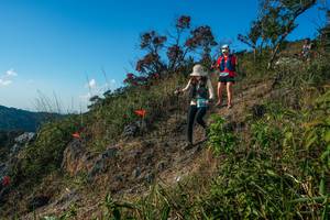 BIB: 
                            <button type="button" onclick="openModal(28098790)" class="btn btn-primary btn-sm float-right btn-popup" data-toggle="modal" data-target=".modal-high-quality">
                        <i class="fas fa-shopping-cart"></i> Add to Cart
                    </button>
                                            <button type="button" onclick="isThisMe(28098790, true)" class="btn btn-success btn-sm float-right btn-popup btn-isme hidden" data-toggle="tooltip" data-placement="bottom" title="นี่คือรูปของคุณใช่ไหม คลิกที่นี่เพื่อเอาเข้าอัลบั้ม">
                        <i class="fas fa-plus"></i> Add to album
                    </button>
                    <button type="button" onclick="isThisMe(28098790, false)" class="btn btn-warning btn-sm float-right btn-popup btn-isnotme hidden">
                        <i class="fas fa-ban"></i> Remove from album
                    </button>