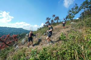 BIB: 
                            <button type="button" onclick="openModal(28096843)" class="btn btn-primary btn-sm float-right btn-popup" data-toggle="modal" data-target=".modal-high-quality">
                        <i class="fas fa-shopping-cart"></i> Add to Cart
                    </button>
                                            <button type="button" onclick="isThisMe(28096843, true)" class="btn btn-success btn-sm float-right btn-popup btn-isme hidden" data-toggle="tooltip" data-placement="bottom" title="นี่คือรูปของคุณใช่ไหม คลิกที่นี่เพื่อเอาเข้าอัลบั้ม">
                        <i class="fas fa-plus"></i> Add to album
                    </button>
                    <button type="button" onclick="isThisMe(28096843, false)" class="btn btn-warning btn-sm float-right btn-popup btn-isnotme hidden">
                        <i class="fas fa-ban"></i> Remove from album
                    </button>