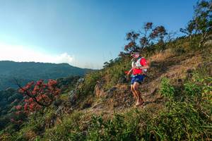 BIB: 
                            <button type="button" onclick="openModal(28099461)" class="btn btn-primary btn-sm float-right btn-popup" data-toggle="modal" data-target=".modal-high-quality">
                        <i class="fas fa-shopping-cart"></i> Add to Cart
                    </button>
                                            <button type="button" onclick="isThisMe(28099461, true)" class="btn btn-success btn-sm float-right btn-popup btn-isme hidden" data-toggle="tooltip" data-placement="bottom" title="นี่คือรูปของคุณใช่ไหม คลิกที่นี่เพื่อเอาเข้าอัลบั้ม">
                        <i class="fas fa-plus"></i> Add to album
                    </button>
                    <button type="button" onclick="isThisMe(28099461, false)" class="btn btn-warning btn-sm float-right btn-popup btn-isnotme hidden">
                        <i class="fas fa-ban"></i> Remove from album
                    </button>