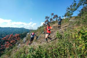 BIB: 
                            <button type="button" onclick="openModal(28097048)" class="btn btn-primary btn-sm float-right btn-popup" data-toggle="modal" data-target=".modal-high-quality">
                        <i class="fas fa-shopping-cart"></i> Add to Cart
                    </button>
                                            <button type="button" onclick="isThisMe(28097048, true)" class="btn btn-success btn-sm float-right btn-popup btn-isme hidden" data-toggle="tooltip" data-placement="bottom" title="นี่คือรูปของคุณใช่ไหม คลิกที่นี่เพื่อเอาเข้าอัลบั้ม">
                        <i class="fas fa-plus"></i> Add to album
                    </button>
                    <button type="button" onclick="isThisMe(28097048, false)" class="btn btn-warning btn-sm float-right btn-popup btn-isnotme hidden">
                        <i class="fas fa-ban"></i> Remove from album
                    </button>