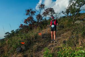 BIB: 
                            <button type="button" onclick="openModal(28099204)" class="btn btn-primary btn-sm float-right btn-popup" data-toggle="modal" data-target=".modal-high-quality">
                        <i class="fas fa-shopping-cart"></i> Add to Cart
                    </button>
                                            <button type="button" onclick="isThisMe(28099204, true)" class="btn btn-success btn-sm float-right btn-popup btn-isme hidden" data-toggle="tooltip" data-placement="bottom" title="นี่คือรูปของคุณใช่ไหม คลิกที่นี่เพื่อเอาเข้าอัลบั้ม">
                        <i class="fas fa-plus"></i> Add to album
                    </button>
                    <button type="button" onclick="isThisMe(28099204, false)" class="btn btn-warning btn-sm float-right btn-popup btn-isnotme hidden">
                        <i class="fas fa-ban"></i> Remove from album
                    </button>