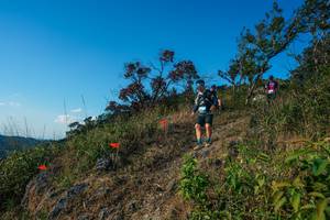 BIB: 
                            <button type="button" onclick="openModal(28098422)" class="btn btn-primary btn-sm float-right btn-popup" data-toggle="modal" data-target=".modal-high-quality">
                        <i class="fas fa-shopping-cart"></i> Add to Cart
                    </button>
                                            <button type="button" onclick="isThisMe(28098422, true)" class="btn btn-success btn-sm float-right btn-popup btn-isme hidden" data-toggle="tooltip" data-placement="bottom" title="นี่คือรูปของคุณใช่ไหม คลิกที่นี่เพื่อเอาเข้าอัลบั้ม">
                        <i class="fas fa-plus"></i> Add to album
                    </button>
                    <button type="button" onclick="isThisMe(28098422, false)" class="btn btn-warning btn-sm float-right btn-popup btn-isnotme hidden">
                        <i class="fas fa-ban"></i> Remove from album
                    </button>