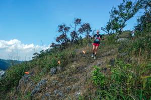 BIB: 
                            <button type="button" onclick="openModal(28096284)" class="btn btn-primary btn-sm float-right btn-popup" data-toggle="modal" data-target=".modal-high-quality">
                        <i class="fas fa-shopping-cart"></i> Add to Cart
                    </button>
                                            <button type="button" onclick="isThisMe(28096284, true)" class="btn btn-success btn-sm float-right btn-popup btn-isme hidden" data-toggle="tooltip" data-placement="bottom" title="นี่คือรูปของคุณใช่ไหม คลิกที่นี่เพื่อเอาเข้าอัลบั้ม">
                        <i class="fas fa-plus"></i> Add to album
                    </button>
                    <button type="button" onclick="isThisMe(28096284, false)" class="btn btn-warning btn-sm float-right btn-popup btn-isnotme hidden">
                        <i class="fas fa-ban"></i> Remove from album
                    </button>