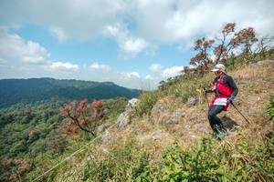 BIB: 
                            <button type="button" onclick="openModal(28095837)" class="btn btn-primary btn-sm float-right btn-popup" data-toggle="modal" data-target=".modal-high-quality">
                        <i class="fas fa-shopping-cart"></i> Add to Cart
                    </button>
                                            <button type="button" onclick="isThisMe(28095837, true)" class="btn btn-success btn-sm float-right btn-popup btn-isme hidden" data-toggle="tooltip" data-placement="bottom" title="นี่คือรูปของคุณใช่ไหม คลิกที่นี่เพื่อเอาเข้าอัลบั้ม">
                        <i class="fas fa-plus"></i> Add to album
                    </button>
                    <button type="button" onclick="isThisMe(28095837, false)" class="btn btn-warning btn-sm float-right btn-popup btn-isnotme hidden">
                        <i class="fas fa-ban"></i> Remove from album
                    </button>