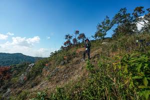 BIB: 
                            <button type="button" onclick="openModal(28097713)" class="btn btn-primary btn-sm float-right btn-popup" data-toggle="modal" data-target=".modal-high-quality">
                        <i class="fas fa-shopping-cart"></i> Add to Cart
                    </button>
                                            <button type="button" onclick="isThisMe(28097713, true)" class="btn btn-success btn-sm float-right btn-popup btn-isme hidden" data-toggle="tooltip" data-placement="bottom" title="นี่คือรูปของคุณใช่ไหม คลิกที่นี่เพื่อเอาเข้าอัลบั้ม">
                        <i class="fas fa-plus"></i> Add to album
                    </button>
                    <button type="button" onclick="isThisMe(28097713, false)" class="btn btn-warning btn-sm float-right btn-popup btn-isnotme hidden">
                        <i class="fas fa-ban"></i> Remove from album
                    </button>