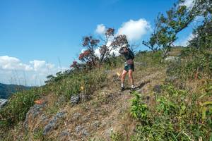 BIB: 
                            <button type="button" onclick="openModal(28096383)" class="btn btn-primary btn-sm float-right btn-popup" data-toggle="modal" data-target=".modal-high-quality">
                        <i class="fas fa-shopping-cart"></i> Add to Cart
                    </button>
                                            <button type="button" onclick="isThisMe(28096383, true)" class="btn btn-success btn-sm float-right btn-popup btn-isme hidden" data-toggle="tooltip" data-placement="bottom" title="นี่คือรูปของคุณใช่ไหม คลิกที่นี่เพื่อเอาเข้าอัลบั้ม">
                        <i class="fas fa-plus"></i> Add to album
                    </button>
                    <button type="button" onclick="isThisMe(28096383, false)" class="btn btn-warning btn-sm float-right btn-popup btn-isnotme hidden">
                        <i class="fas fa-ban"></i> Remove from album
                    </button>