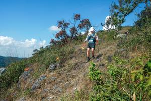 BIB: 
                            <button type="button" onclick="openModal(28096325)" class="btn btn-primary btn-sm float-right btn-popup" data-toggle="modal" data-target=".modal-high-quality">
                        <i class="fas fa-shopping-cart"></i> Add to Cart
                    </button>
                                            <button type="button" onclick="isThisMe(28096325, true)" class="btn btn-success btn-sm float-right btn-popup btn-isme hidden" data-toggle="tooltip" data-placement="bottom" title="นี่คือรูปของคุณใช่ไหม คลิกที่นี่เพื่อเอาเข้าอัลบั้ม">
                        <i class="fas fa-plus"></i> Add to album
                    </button>
                    <button type="button" onclick="isThisMe(28096325, false)" class="btn btn-warning btn-sm float-right btn-popup btn-isnotme hidden">
                        <i class="fas fa-ban"></i> Remove from album
                    </button>