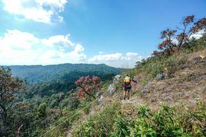 BIB: 
                            <button type="button" onclick="openModal(28096338)" class="btn btn-primary btn-sm float-right btn-popup" data-toggle="modal" data-target=".modal-high-quality">
                        <i class="fas fa-shopping-cart"></i> Add to Cart
                    </button>
                                            <button type="button" onclick="isThisMe(28096338, true)" class="btn btn-success btn-sm float-right btn-popup btn-isme hidden" data-toggle="tooltip" data-placement="bottom" title="นี่คือรูปของคุณใช่ไหม คลิกที่นี่เพื่อเอาเข้าอัลบั้ม">
                        <i class="fas fa-plus"></i> Add to album
                    </button>
                    <button type="button" onclick="isThisMe(28096338, false)" class="btn btn-warning btn-sm float-right btn-popup btn-isnotme hidden">
                        <i class="fas fa-ban"></i> Remove from album
                    </button>