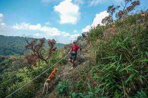 BIB: 
                            <button type="button" onclick="openModal(28095917)" class="btn btn-primary btn-sm float-right btn-popup" data-toggle="modal" data-target=".modal-high-quality">
                        <i class="fas fa-shopping-cart"></i> Add to Cart
                    </button>
                                            <button type="button" onclick="isThisMe(28095917, true)" class="btn btn-success btn-sm float-right btn-popup btn-isme hidden" data-toggle="tooltip" data-placement="bottom" title="นี่คือรูปของคุณใช่ไหม คลิกที่นี่เพื่อเอาเข้าอัลบั้ม">
                        <i class="fas fa-plus"></i> Add to album
                    </button>
                    <button type="button" onclick="isThisMe(28095917, false)" class="btn btn-warning btn-sm float-right btn-popup btn-isnotme hidden">
                        <i class="fas fa-ban"></i> Remove from album
                    </button>