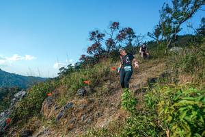 BIB: 
                            <button type="button" onclick="openModal(28098396)" class="btn btn-primary btn-sm float-right btn-popup" data-toggle="modal" data-target=".modal-high-quality">
                        <i class="fas fa-shopping-cart"></i> Add to Cart
                    </button>
                                            <button type="button" onclick="isThisMe(28098396, true)" class="btn btn-success btn-sm float-right btn-popup btn-isme hidden" data-toggle="tooltip" data-placement="bottom" title="นี่คือรูปของคุณใช่ไหม คลิกที่นี่เพื่อเอาเข้าอัลบั้ม">
                        <i class="fas fa-plus"></i> Add to album
                    </button>
                    <button type="button" onclick="isThisMe(28098396, false)" class="btn btn-warning btn-sm float-right btn-popup btn-isnotme hidden">
                        <i class="fas fa-ban"></i> Remove from album
                    </button>