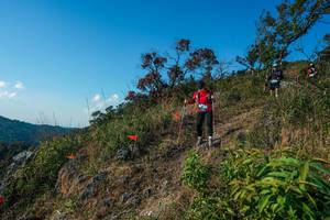 BIB: 
                            <button type="button" onclick="openModal(28098730)" class="btn btn-primary btn-sm float-right btn-popup" data-toggle="modal" data-target=".modal-high-quality">
                        <i class="fas fa-shopping-cart"></i> Add to Cart
                    </button>
                                            <button type="button" onclick="isThisMe(28098730, true)" class="btn btn-success btn-sm float-right btn-popup btn-isme hidden" data-toggle="tooltip" data-placement="bottom" title="นี่คือรูปของคุณใช่ไหม คลิกที่นี่เพื่อเอาเข้าอัลบั้ม">
                        <i class="fas fa-plus"></i> Add to album
                    </button>
                    <button type="button" onclick="isThisMe(28098730, false)" class="btn btn-warning btn-sm float-right btn-popup btn-isnotme hidden">
                        <i class="fas fa-ban"></i> Remove from album
                    </button>