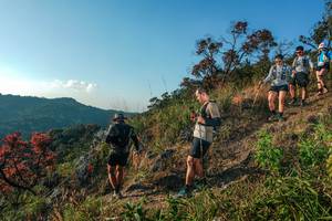 BIB: 
                            <button type="button" onclick="openModal(28099465)" class="btn btn-primary btn-sm float-right btn-popup" data-toggle="modal" data-target=".modal-high-quality">
                        <i class="fas fa-shopping-cart"></i> Add to Cart
                    </button>
                                            <button type="button" onclick="isThisMe(28099465, true)" class="btn btn-success btn-sm float-right btn-popup btn-isme hidden" data-toggle="tooltip" data-placement="bottom" title="นี่คือรูปของคุณใช่ไหม คลิกที่นี่เพื่อเอาเข้าอัลบั้ม">
                        <i class="fas fa-plus"></i> Add to album
                    </button>
                    <button type="button" onclick="isThisMe(28099465, false)" class="btn btn-warning btn-sm float-right btn-popup btn-isnotme hidden">
                        <i class="fas fa-ban"></i> Remove from album
                    </button>