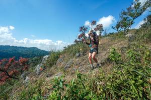 BIB: 
                            <button type="button" onclick="openModal(28096391)" class="btn btn-primary btn-sm float-right btn-popup" data-toggle="modal" data-target=".modal-high-quality">
                        <i class="fas fa-shopping-cart"></i> Add to Cart
                    </button>
                                            <button type="button" onclick="isThisMe(28096391, true)" class="btn btn-success btn-sm float-right btn-popup btn-isme hidden" data-toggle="tooltip" data-placement="bottom" title="นี่คือรูปของคุณใช่ไหม คลิกที่นี่เพื่อเอาเข้าอัลบั้ม">
                        <i class="fas fa-plus"></i> Add to album
                    </button>
                    <button type="button" onclick="isThisMe(28096391, false)" class="btn btn-warning btn-sm float-right btn-popup btn-isnotme hidden">
                        <i class="fas fa-ban"></i> Remove from album
                    </button>