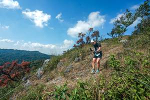 BIB: 
                            <button type="button" onclick="openModal(28096517)" class="btn btn-primary btn-sm float-right btn-popup" data-toggle="modal" data-target=".modal-high-quality">
                        <i class="fas fa-shopping-cart"></i> Add to Cart
                    </button>
                                            <button type="button" onclick="isThisMe(28096517, true)" class="btn btn-success btn-sm float-right btn-popup btn-isme hidden" data-toggle="tooltip" data-placement="bottom" title="นี่คือรูปของคุณใช่ไหม คลิกที่นี่เพื่อเอาเข้าอัลบั้ม">
                        <i class="fas fa-plus"></i> Add to album
                    </button>
                    <button type="button" onclick="isThisMe(28096517, false)" class="btn btn-warning btn-sm float-right btn-popup btn-isnotme hidden">
                        <i class="fas fa-ban"></i> Remove from album
                    </button>