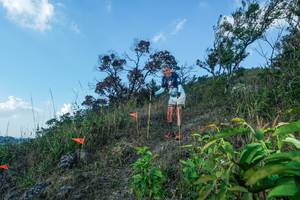 BIB: 
                            <button type="button" onclick="openModal(28097899)" class="btn btn-primary btn-sm float-right btn-popup" data-toggle="modal" data-target=".modal-high-quality">
                        <i class="fas fa-shopping-cart"></i> Add to Cart
                    </button>
                                            <button type="button" onclick="isThisMe(28097899, true)" class="btn btn-success btn-sm float-right btn-popup btn-isme hidden" data-toggle="tooltip" data-placement="bottom" title="นี่คือรูปของคุณใช่ไหม คลิกที่นี่เพื่อเอาเข้าอัลบั้ม">
                        <i class="fas fa-plus"></i> Add to album
                    </button>
                    <button type="button" onclick="isThisMe(28097899, false)" class="btn btn-warning btn-sm float-right btn-popup btn-isnotme hidden">
                        <i class="fas fa-ban"></i> Remove from album
                    </button>